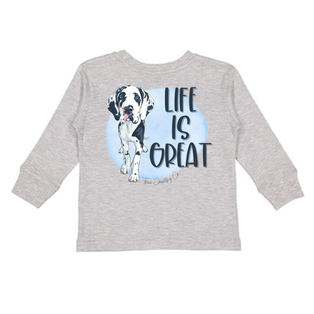 Life is Great Long Sleeve - Youth - Wholesale (D)