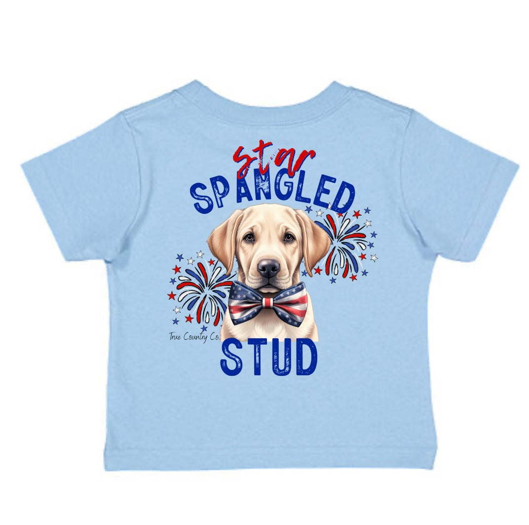 Star Spangled Stud - Light Blue - Youth - Wholesale