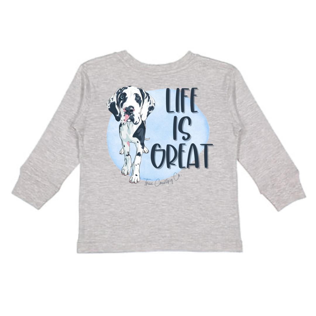 Life is Great Long Sleeve  - Youth - Wholesale (D)